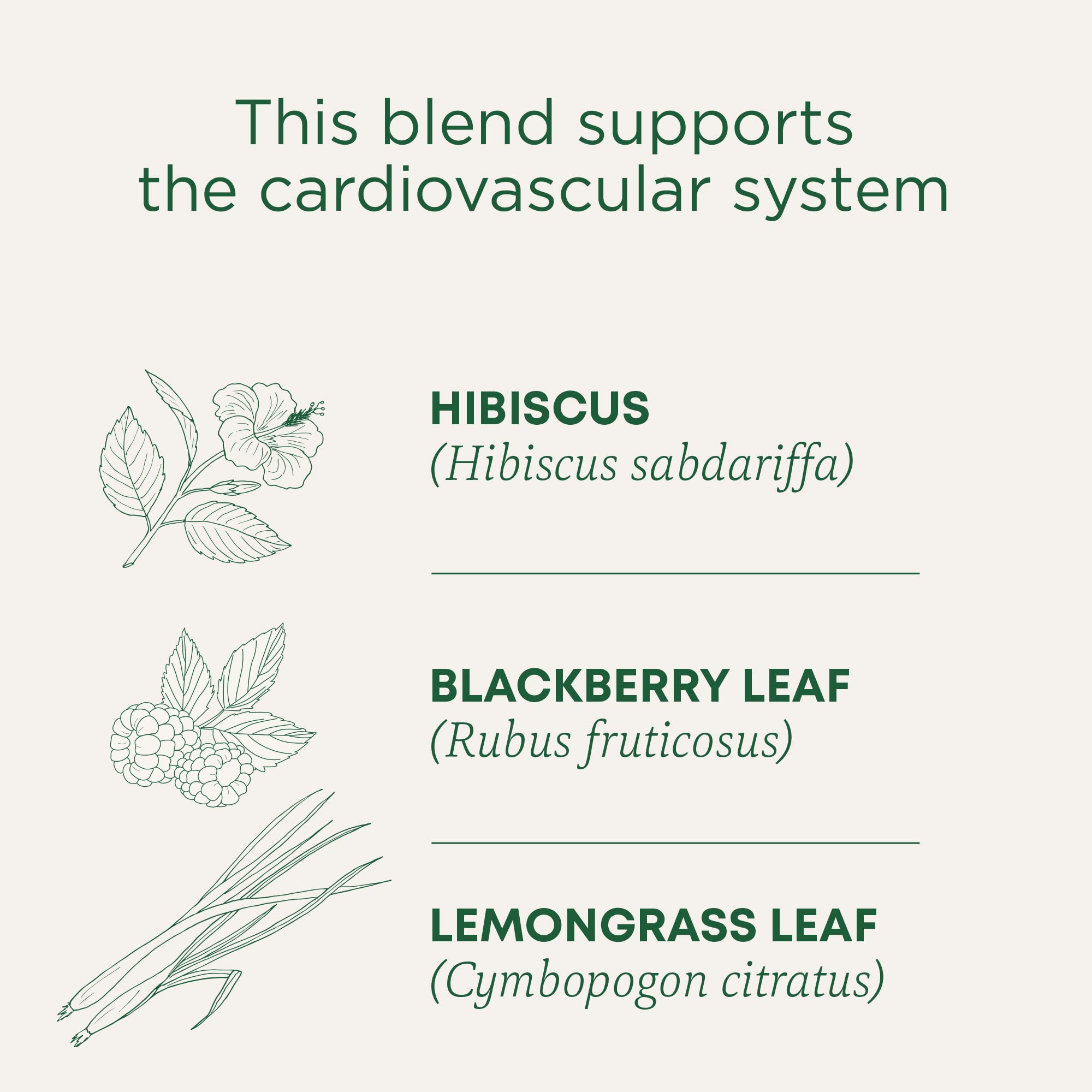Traditional Medicinals Organic, Hibiscus Tea - Supports Normal Heart Health & Cardiovascular Wellness - Kosher, Non-GMO, Caffeine-Free, Compostable