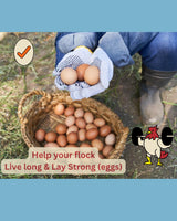 LitChicks’ Calcified Seaweed for Laying Chickens - Crushed Oyster Shell Alternative - Highly Digestible - Single Ingredient - Helps with Egg Laying