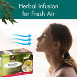 Hanan Premium Eucalyptus Tea - 100% Natural Eucalipto Hojas Naturales for Tea, Herbal Remedies and Aromatherapy - Dried Eucalyptus Leaves - Fresh