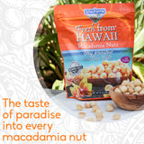 Macadamia Nuts | MacFarms Dry Roasted Macadamia Nuts 24 OZ (1 Pack) - Premium Roasted Nuts with Sea Salt Fresh From Hawaii, Sea Salt Flavored Healthy