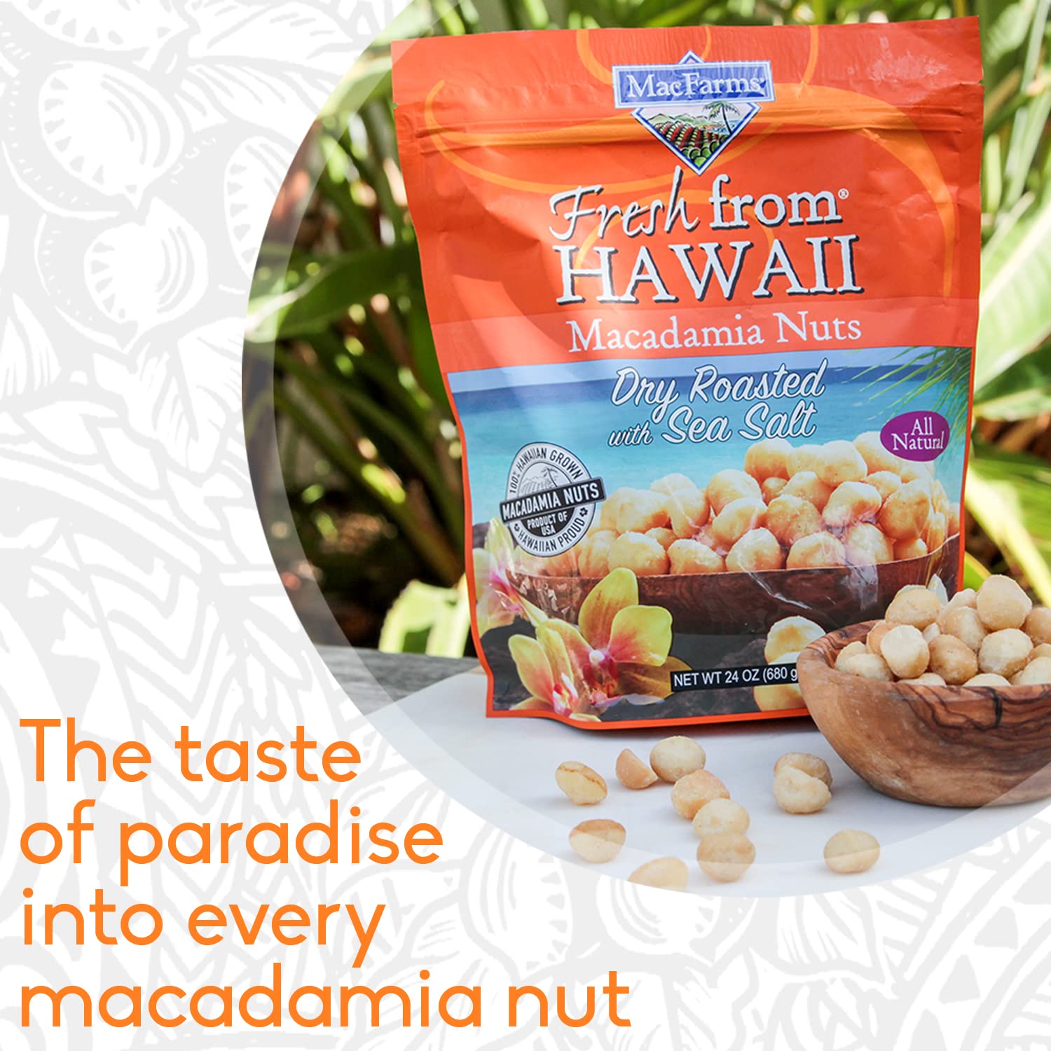 Macadamia Nuts | MacFarms Dry Roasted Macadamia Nuts 24 OZ (1 Pack) - Premium Roasted Nuts with Sea Salt Fresh From Hawaii, Sea Salt Flavored Healthy