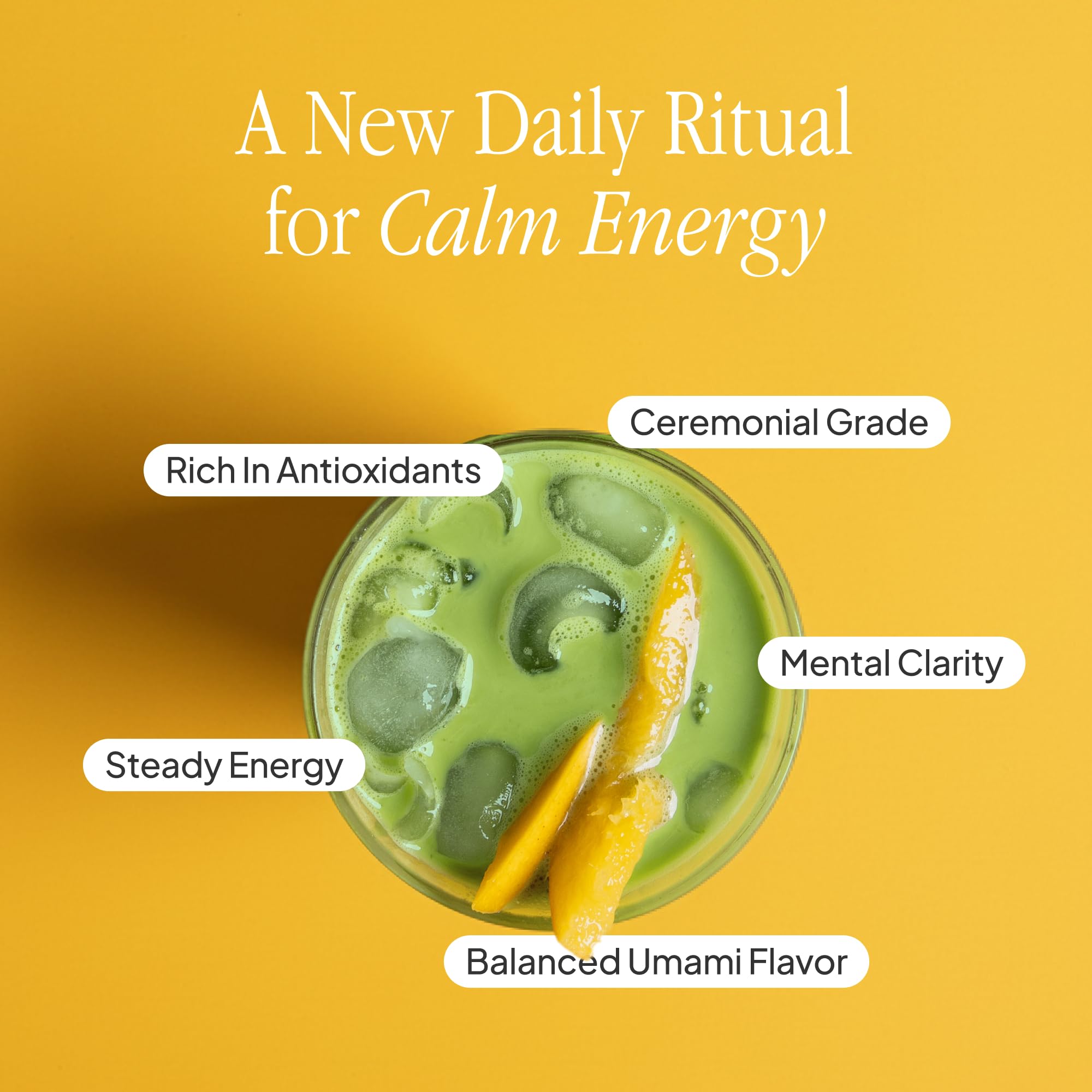 Morning Made Mango Ceremonial Grade Matcha Powder - USDA Organic Japanese Green Tea Matcha Powder from Uji Japan - Vegan, Gluten-Free, Resealable Tin