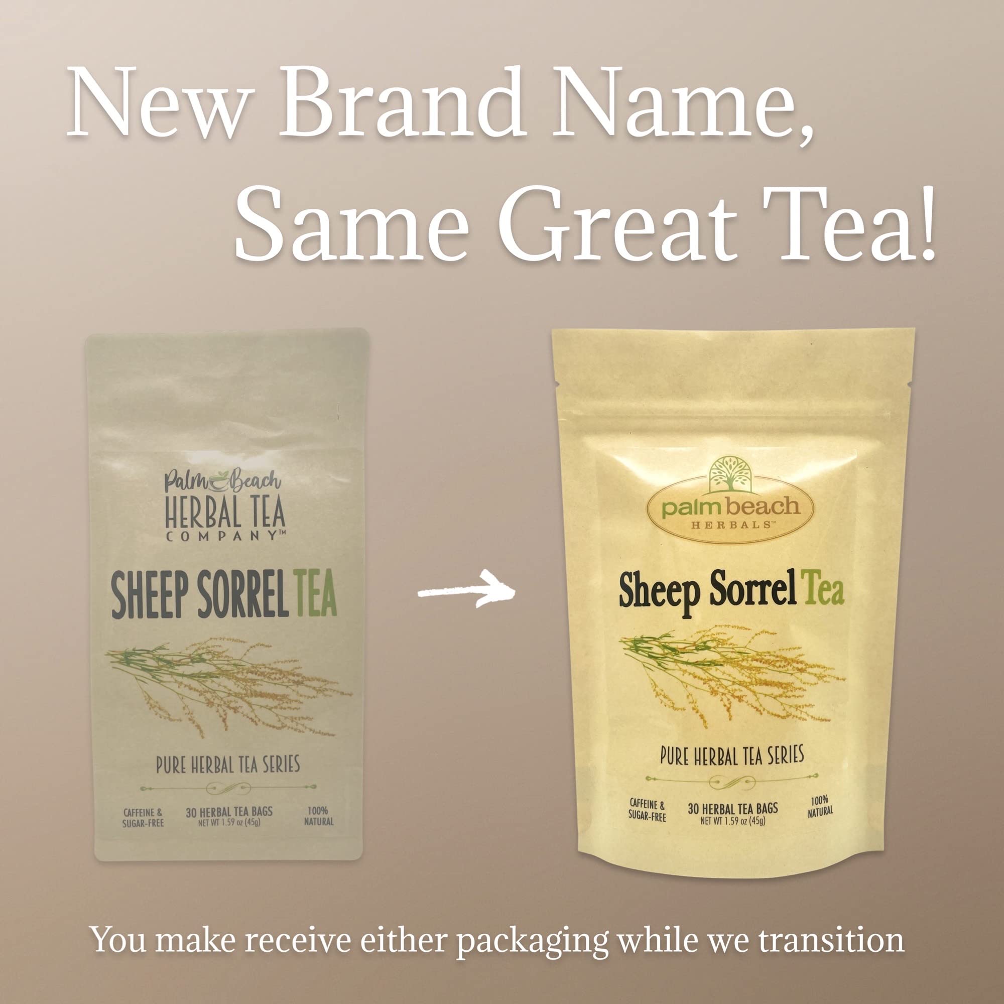 Sheep Sorrel Tea - Pure Herbal Tea Series by Palm Beach Herbals (30 Tea Bags) 100% Natural