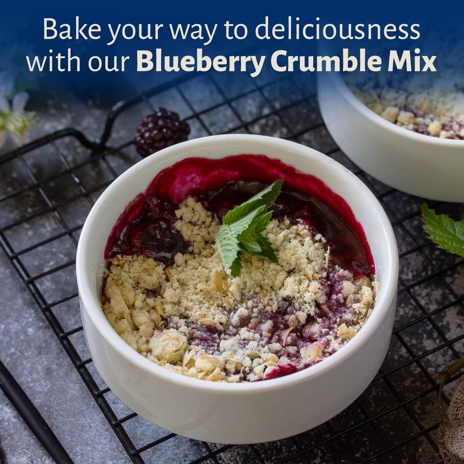 Calhoun Bend Mill Blueberry Crumble Mix | Delicious Easy to Make Crumble Dessert | Perfect for Blueberries or Your Favorite Fruits | Classic Dessert | Ideal for Baking Enthusiasts - 8 Oz (Pack of 1)