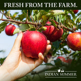 Indian Summer Premium Chunky Applesauce Made from US Apples and American Growers (Chunky Original, 23 Ounces Each, Pack of 6)