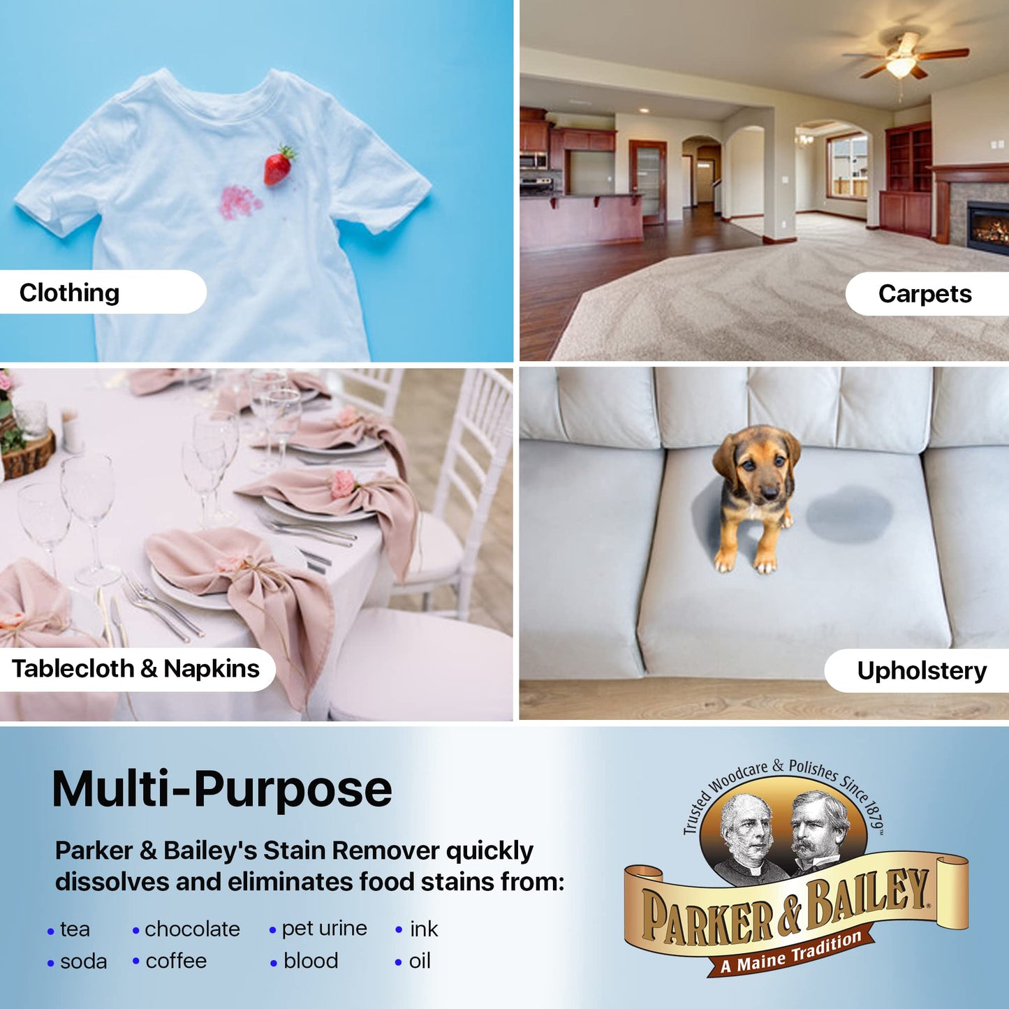 Parker & Bailey Liquid Stain Remover - Instant Stain Removal on Laundry Clothing Fabric Ink Grease Blood Grass Coffee Wine Food Carpet Upholstery Spot