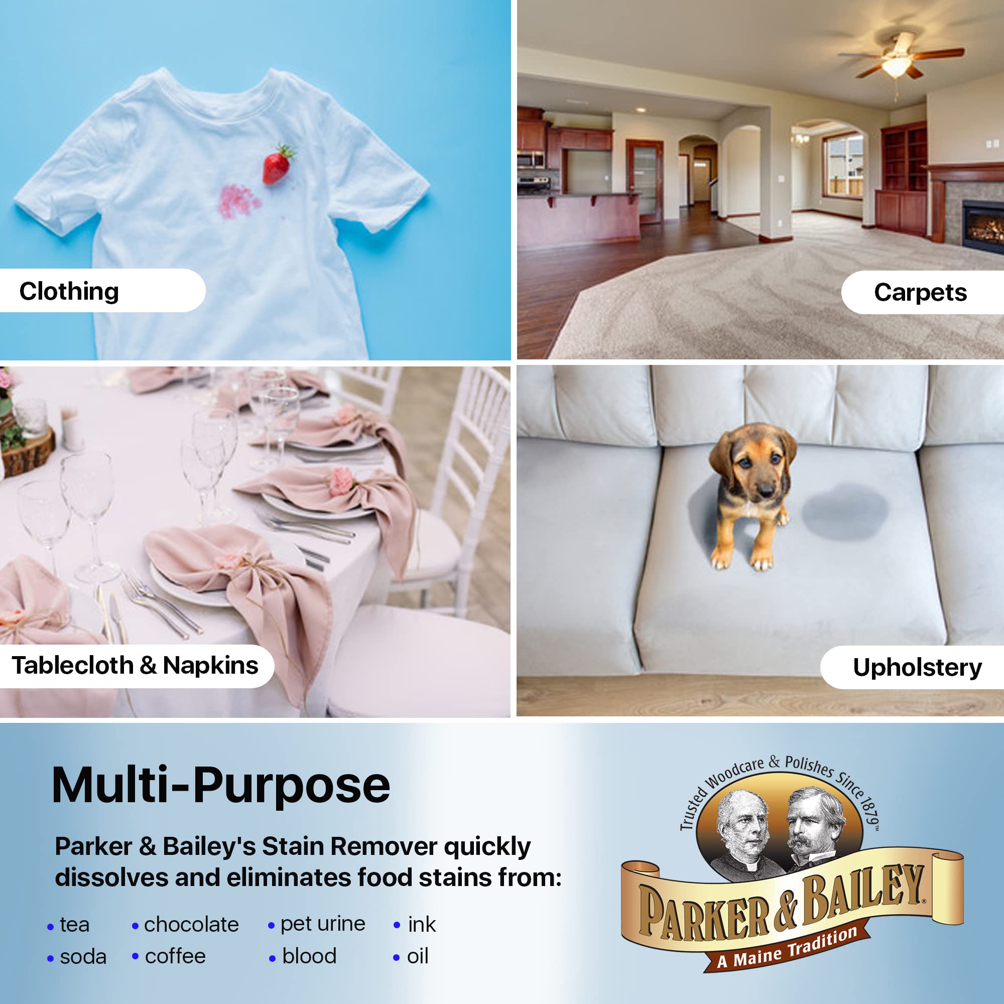 Parker & Bailey Liquid Stain Remover - Instant Stain Removal on Laundry Clothing Fabric Ink Grease Blood Grass Coffee Wine Food Carpet Upholstery Spot