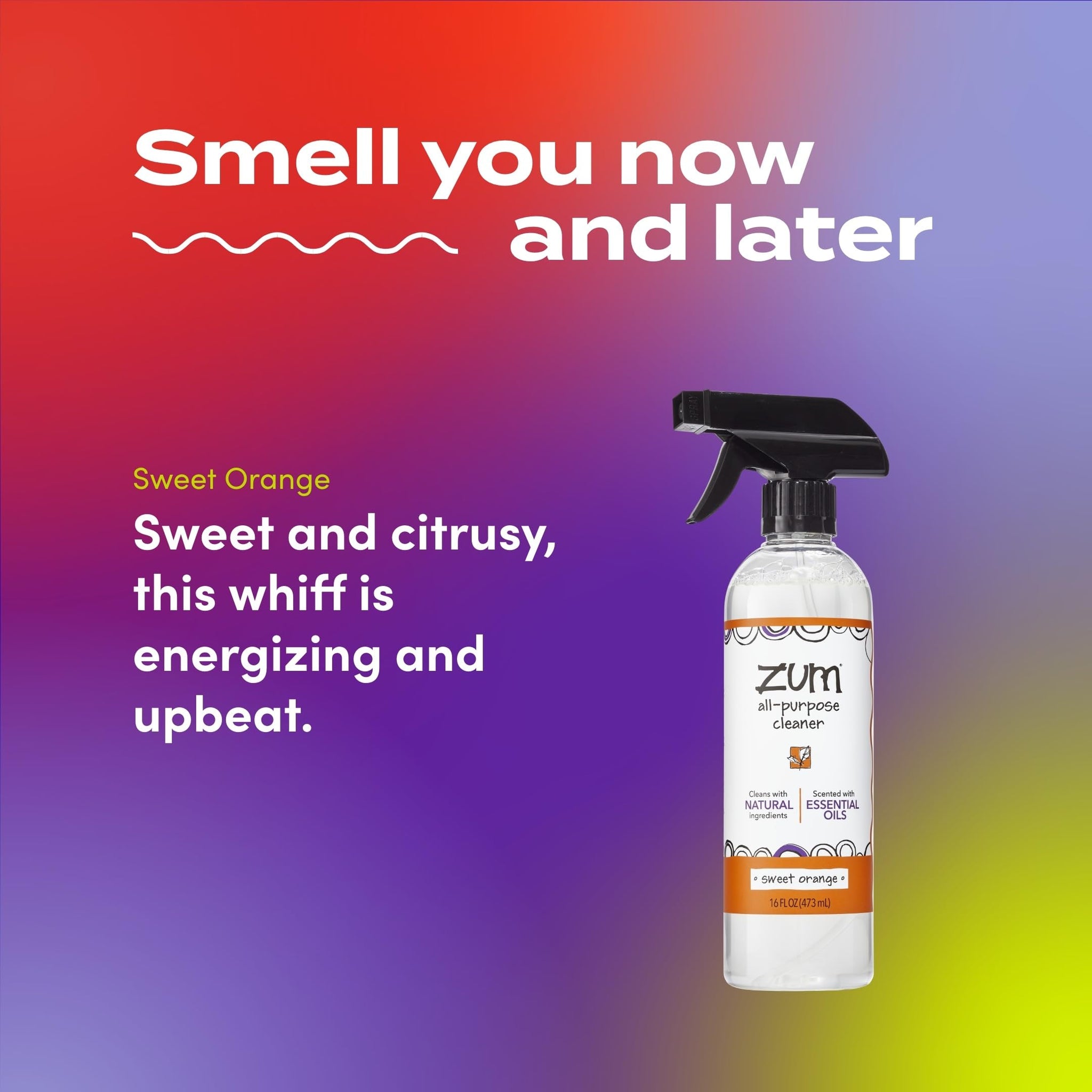Zum by Indigo Wild All-Purpose Cleaner - Natural Multipurpose Cleaner Made with Essential Oils, Baking Soda & More - Sweet Orange, 16 fl oz