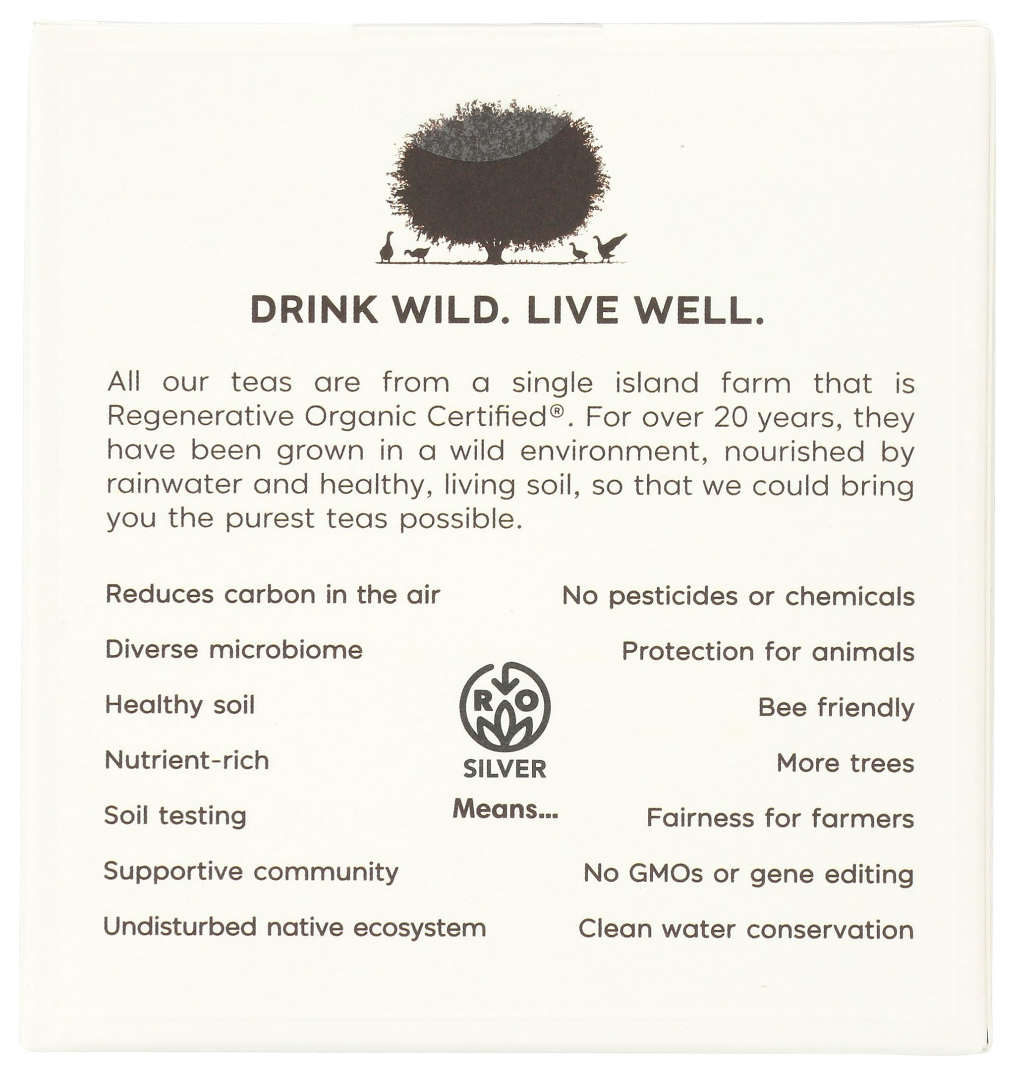 Wild Orchard, Tea Everyday Black Organic, 12 Count
