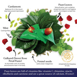 Aryaa Organic Calcutta Paan 8.75oz (250gm)- Elevate Your Snacking Experience | 100% Natural | Digestive Delight | Energy Infused | Vegan |