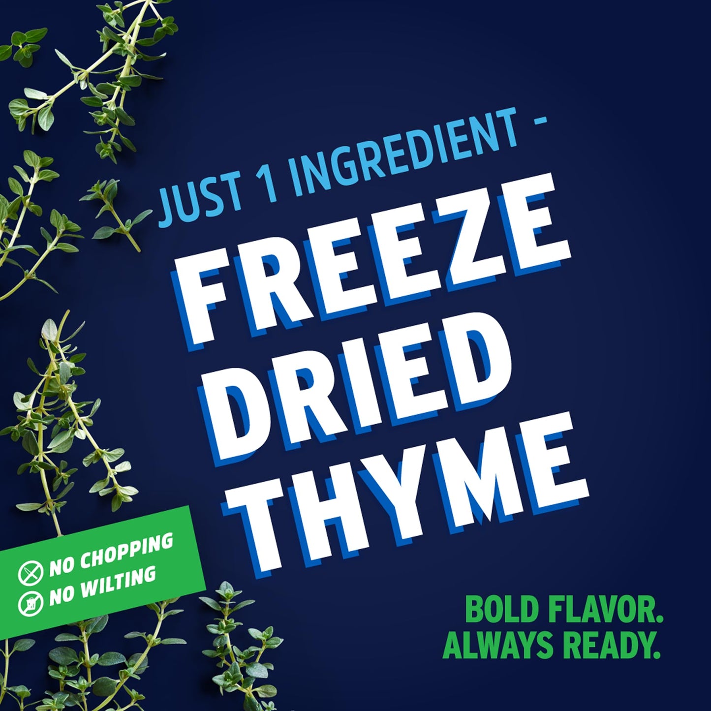 Litehouse Freeze Dried Thyme - Substitute for Fresh Thyme, Jar Equal to 5 Thyme Fresh Bunches, Organic, Thyme Seasoning, Non-GMO, Gluten-Free - 0.52
