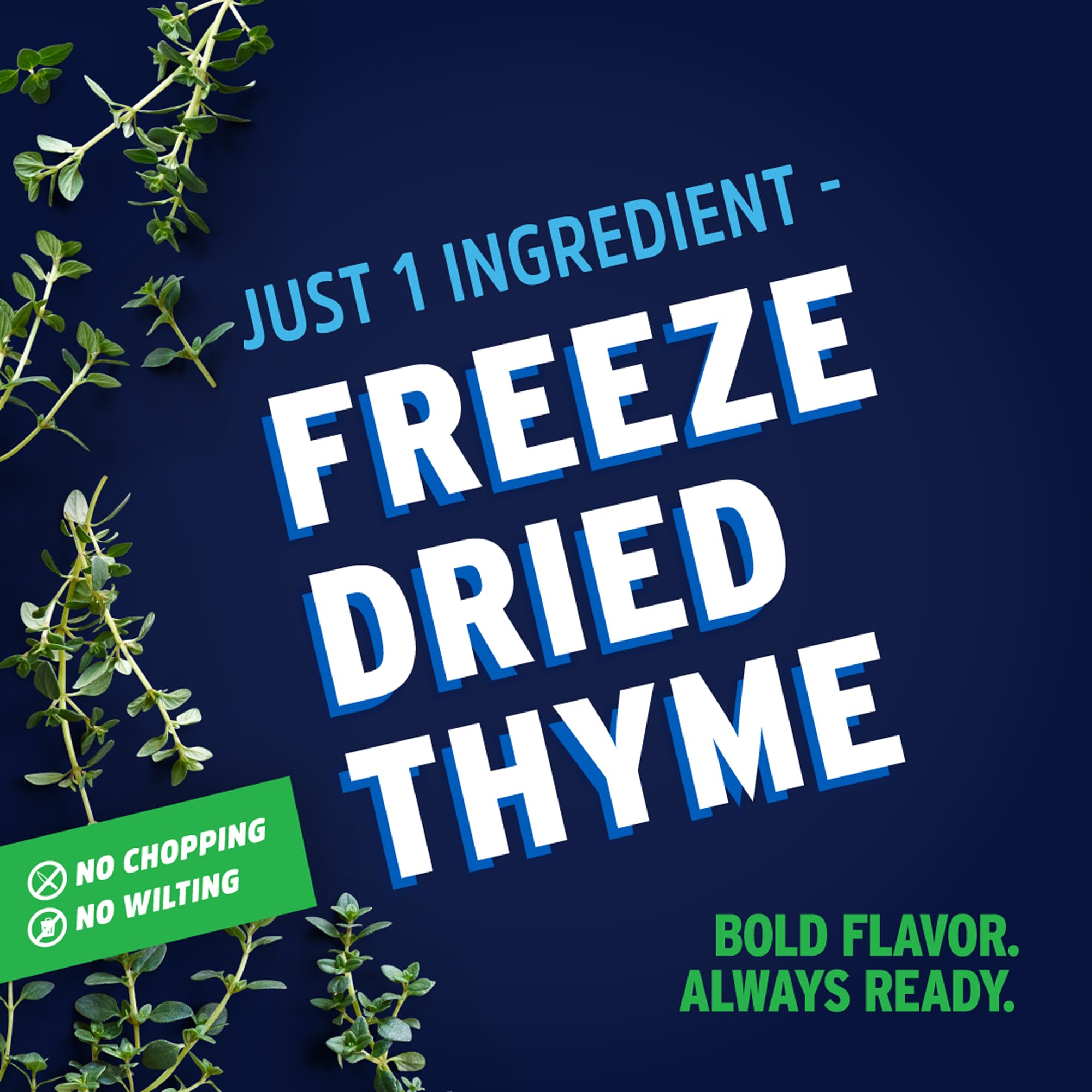 Litehouse Freeze Dried Thyme - Substitute for Fresh Thyme, Jar Equal to 5 Thyme Fresh Bunches, Organic, Thyme Seasoning, Non-GMO, Gluten-Free - 0.52