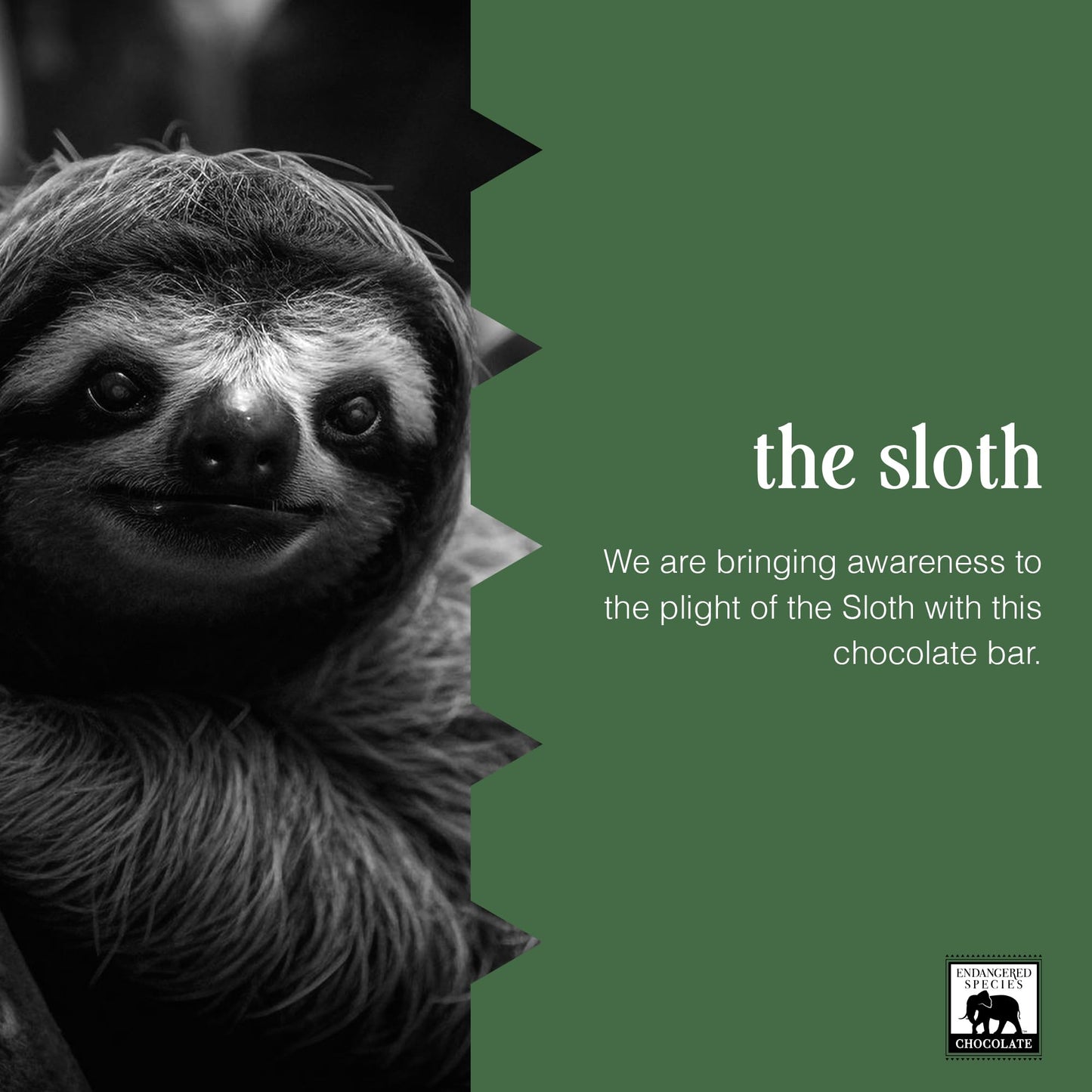 Endangered Species Chocolate Bar 3oz (12 Pack) (Natural 48% Cacao Milk Chocolate w/Caramel)