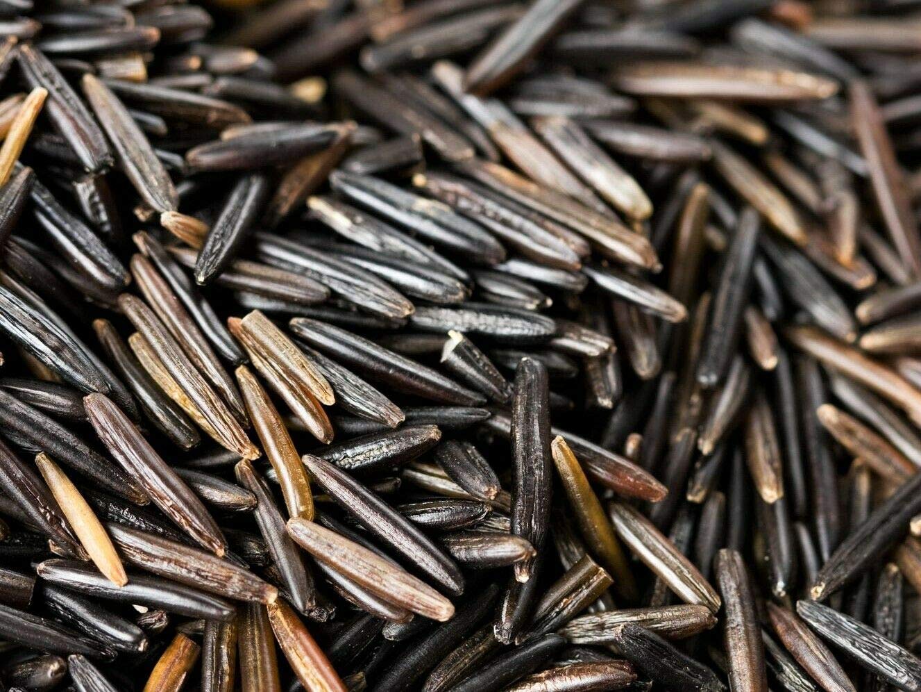 Organic Wild Rice (1)