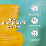 Poo-Pourri Before-You-Go Toilet Spray, Hollyday Spice, 2 Fl Oz - Cranberry, Cinnamon, and Balsam Fir, 1 Count (Pack of 1)