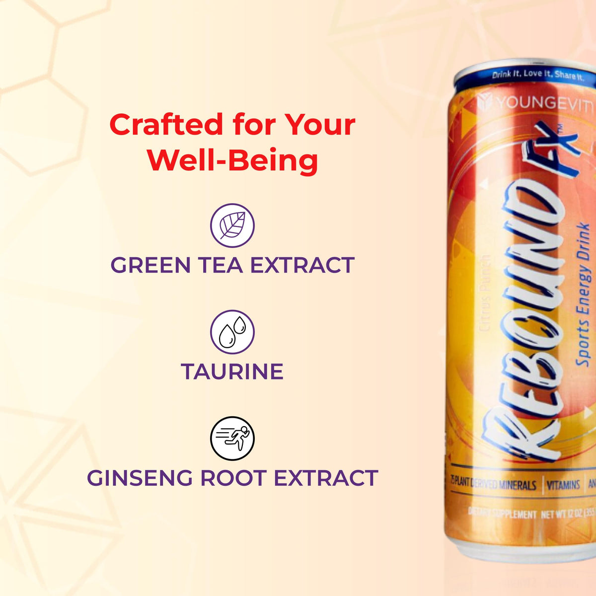 Youngevity Rebound FX Citrus Punch Sports Energy Drink, 12 oz Cans, 12-Pack