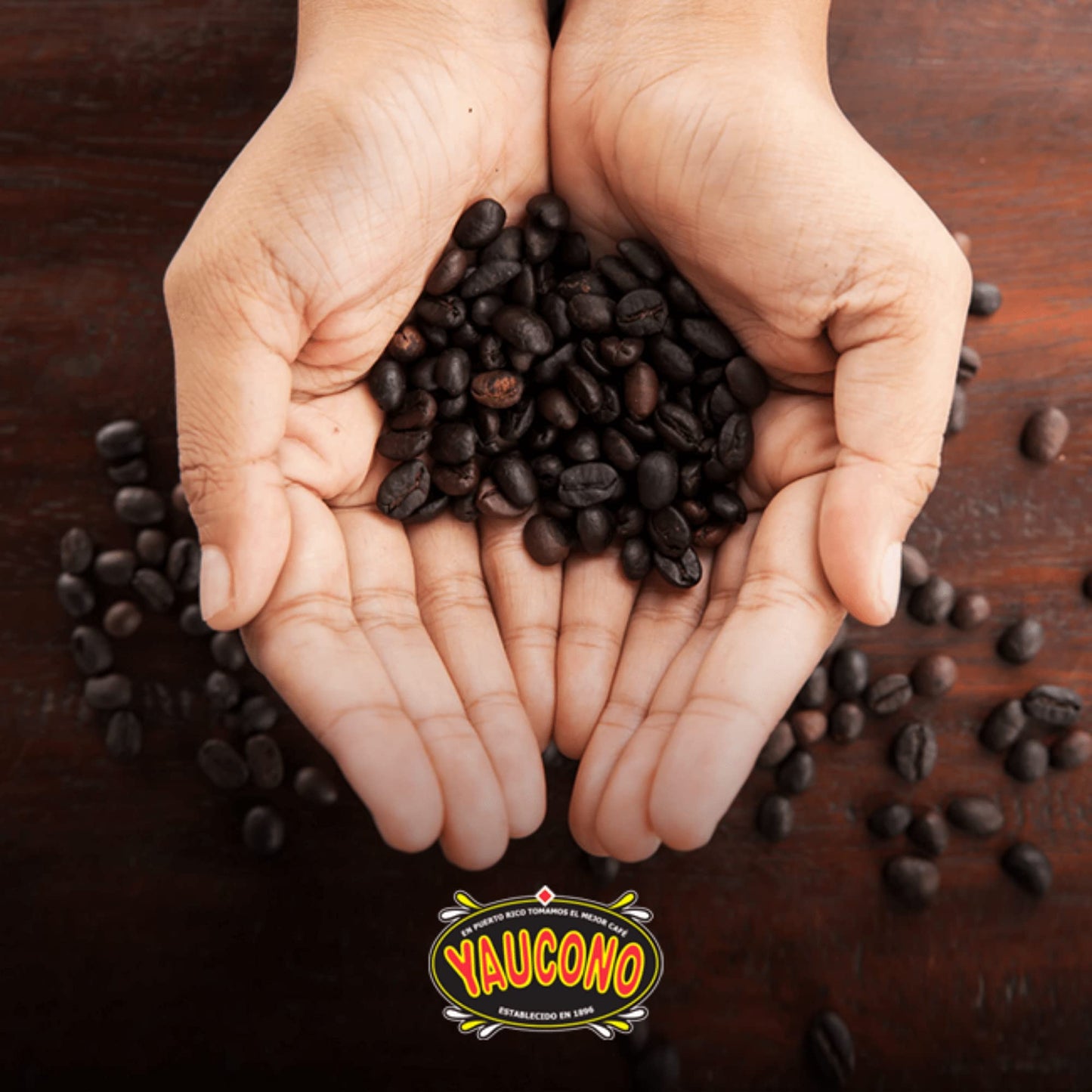 Yaucono Coffee, Arabica Ground Medium Roast Bagged, Puerto Rico, 14 Ounce (Pack of 6)
