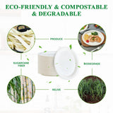 Vplus 100% Compostable Oval Paper Plates 12 inch 125 Pack Super Strong Disposable Paper Plates Bagasse Natural Biodegradable Eco-Friendly Sugarcane