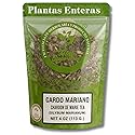 Milk Thistle Herbal Tea - 4 oz (113g) - Cardo Mariano - 100% Natural Loose Leaf - Wildcrafted, Non-GMO, Vegan, Gluten-Free - Resealable Bag - by High