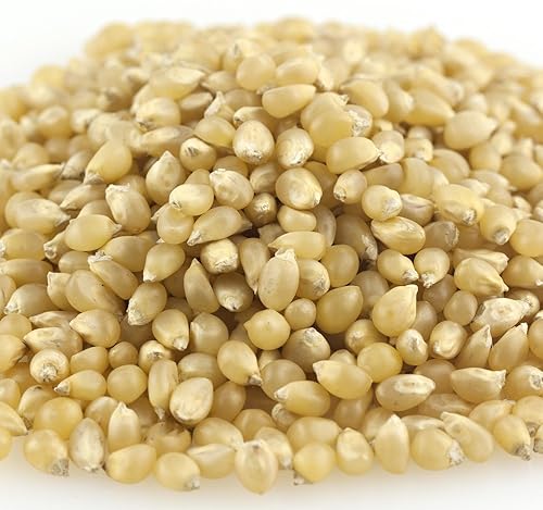 White Popcorn, 1 3/4 Lb Pack, Yankee Traders Brand