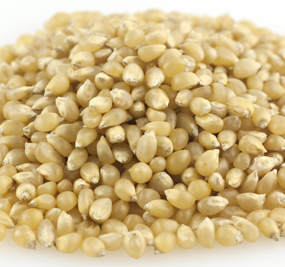 White Popcorn, 1 3/4 Lb Pack, Yankee Traders Brand