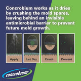 Concrobium Mold Control, 1 Gallon Refill, Eliminates and Prevents Mold, EPA Registered, Bleach Free, Odorless, VOC Free, For Indoor and Outdoor