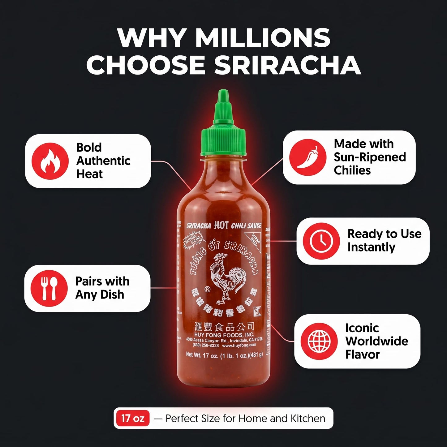 Huy Fong Sauce Chili Sriracha Hot 17 oz (Pack of 1) - Sriracha Hot Sauce - Chili Sauce with Squishy - 2 Total Items