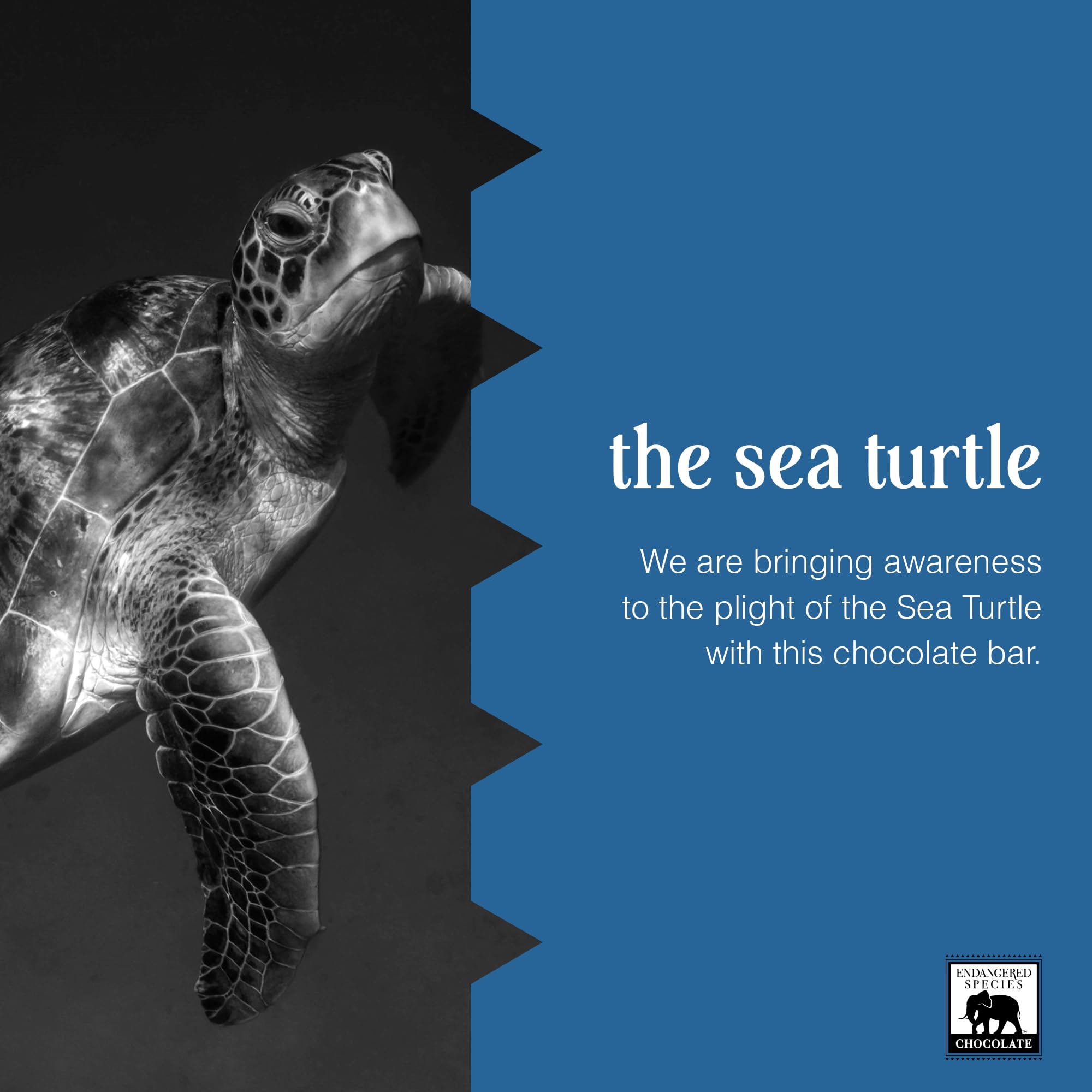 Endangered Species Dark Chocolate Bar with Blueberries (72% cocoa)