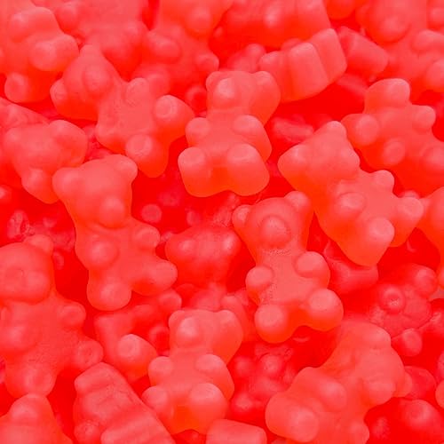Cinnamon Bears | 1 Pound Bag | Cinnamon Candy | Gelatin Free Red JuJu Bears | Classic Sweet and Spicy Gummies | Gummy Candy | Nostalgic Chewy Candy
