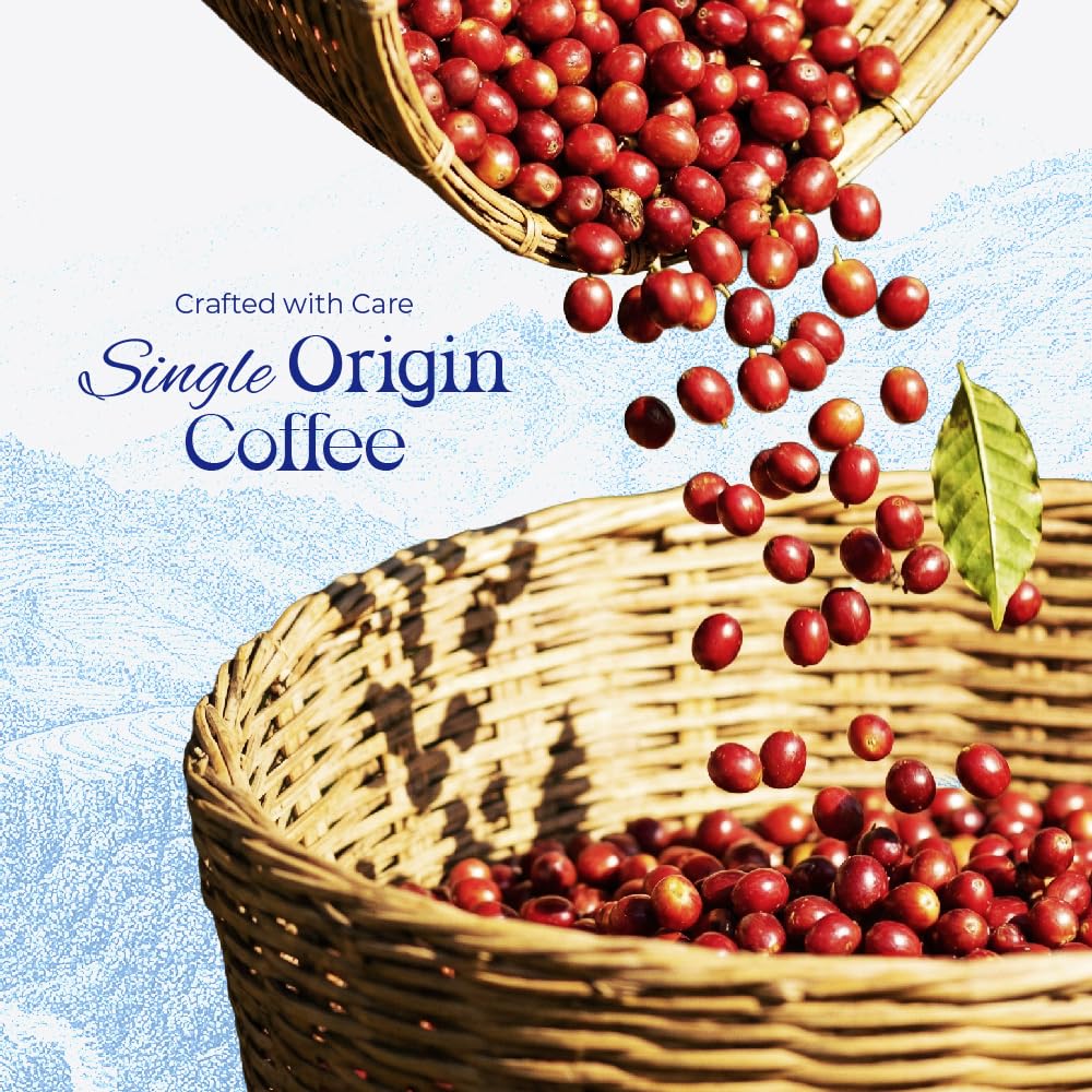 Blu Ore Premium Vietnamese Coffee Pods - Dark Roast - Recyclable & Compatible with most K-Cup brewers (24 Count) - 100% Arabica Coffee, No