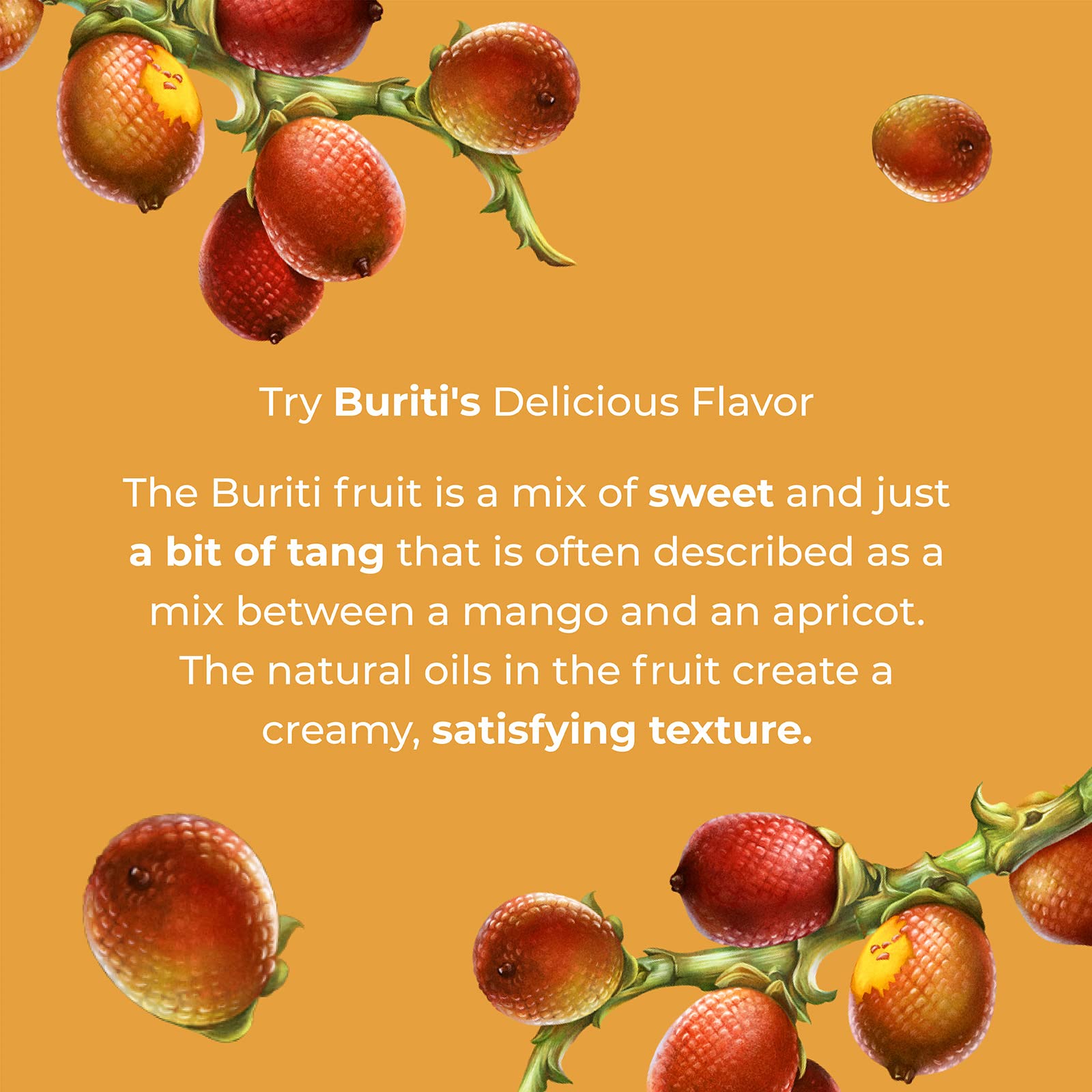 Amayu Exotic Super Fruit Juice | Variety Pack (Acai, Buriti, Camu Camu) | 100% Organic Juice From the Amazon | NO Sugar Added | Immune Support