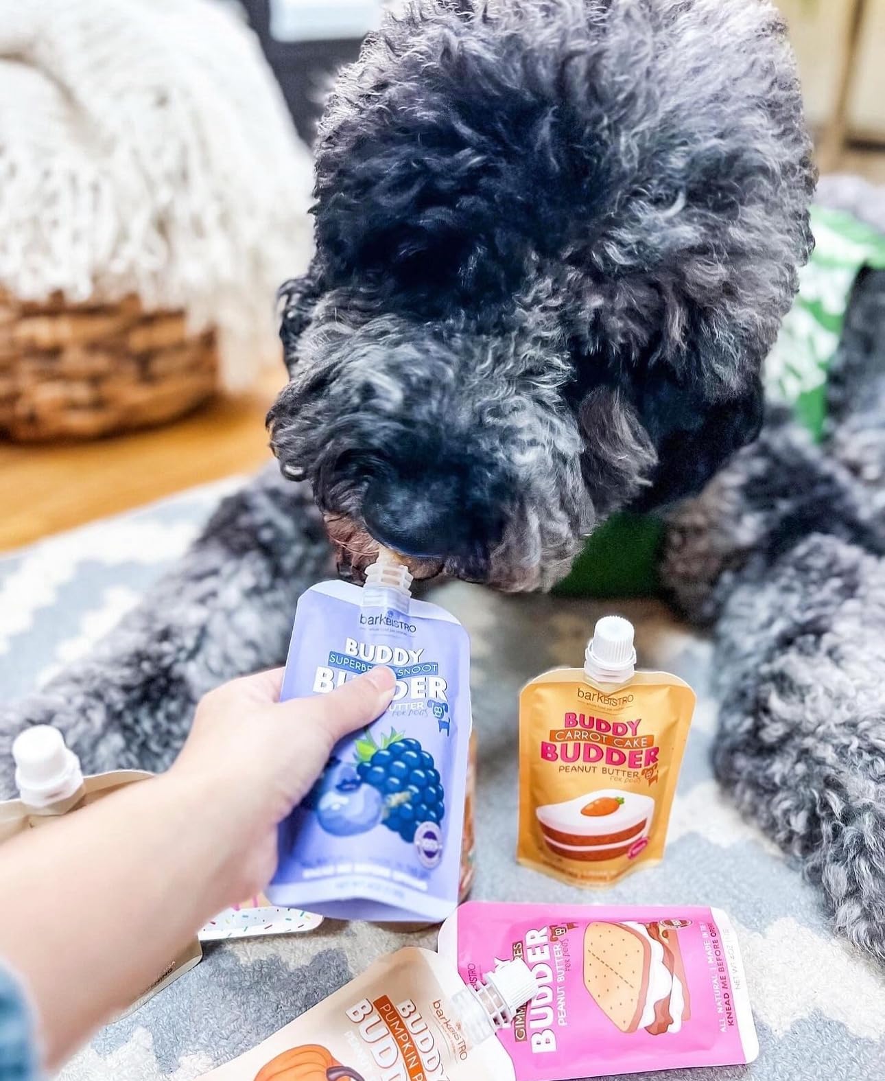 BUDDY BUDDER Dog Peanut Butter, 9 Pack Mixed Flavors, 4oz Pouches Dog Peanut Butter, Made in USA