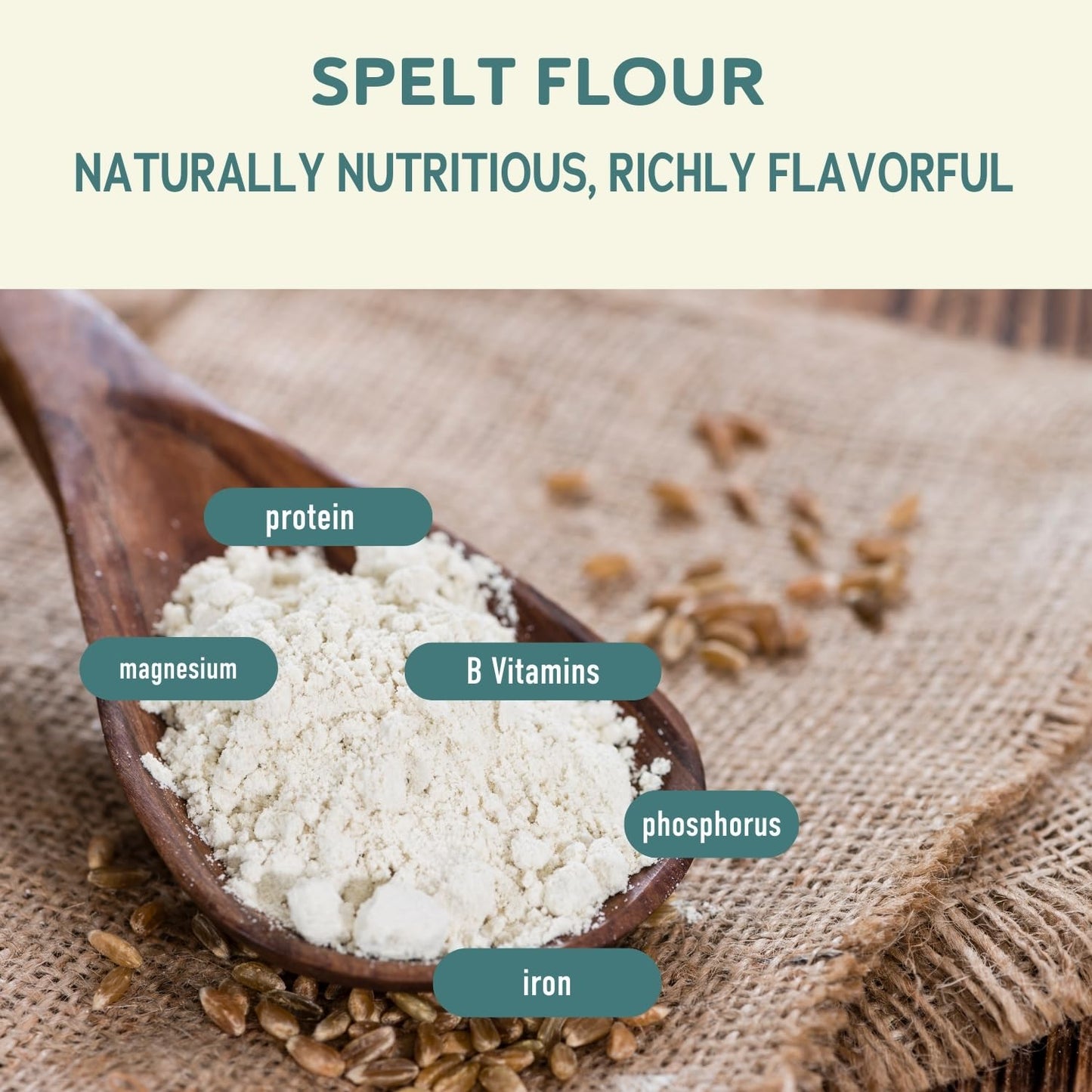 Fairhaven Mill Whole Grain Spelt Flour - USDA Organic Certified & Non-GMO - Nutty Flavor & High Absorption Rate for Artisan Breads, Pizza Crusts