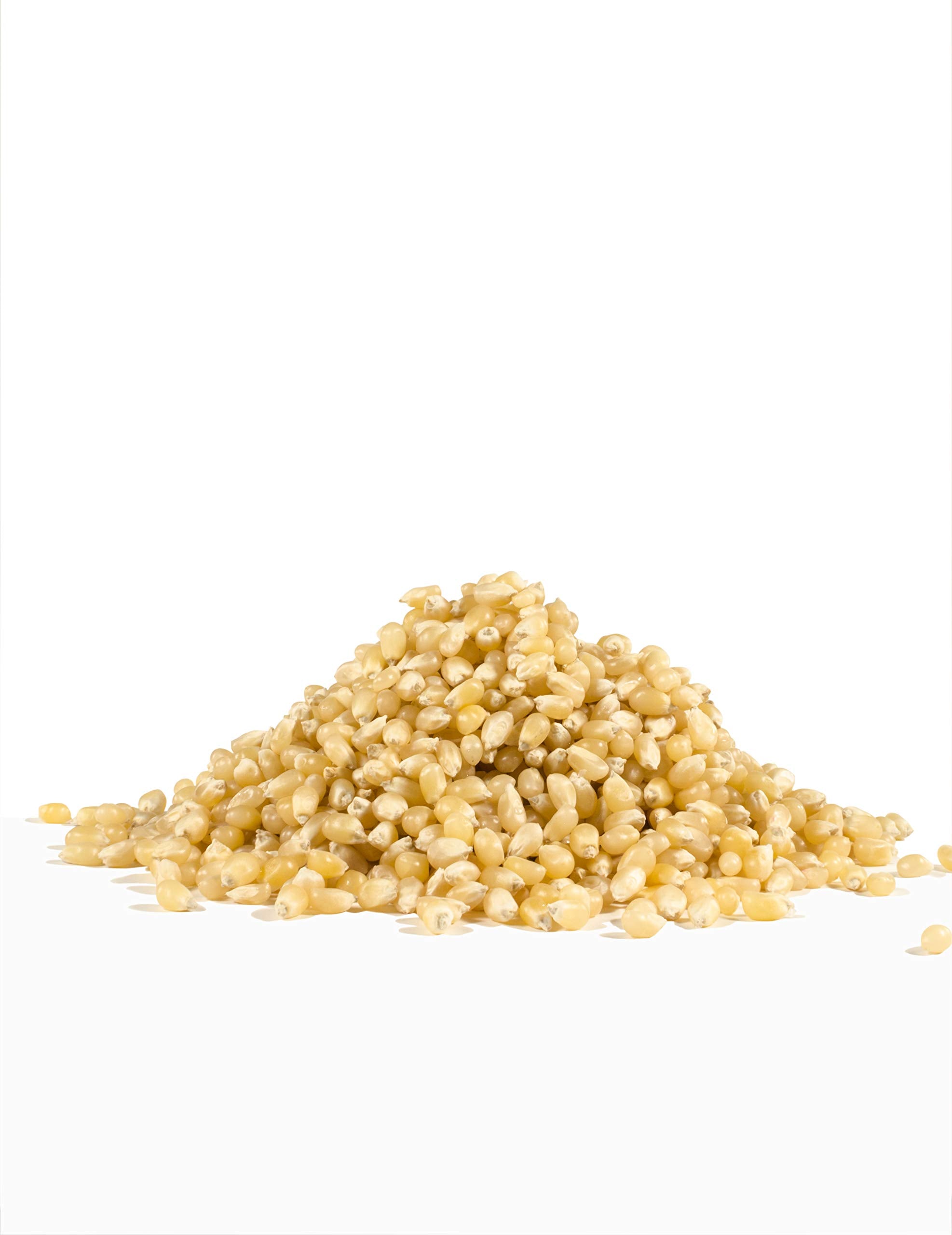 Bob's Red Mill White Popcorn, 30oz (Pack of 1) - Non GMO, Whole Grain, Vegan, Kosher