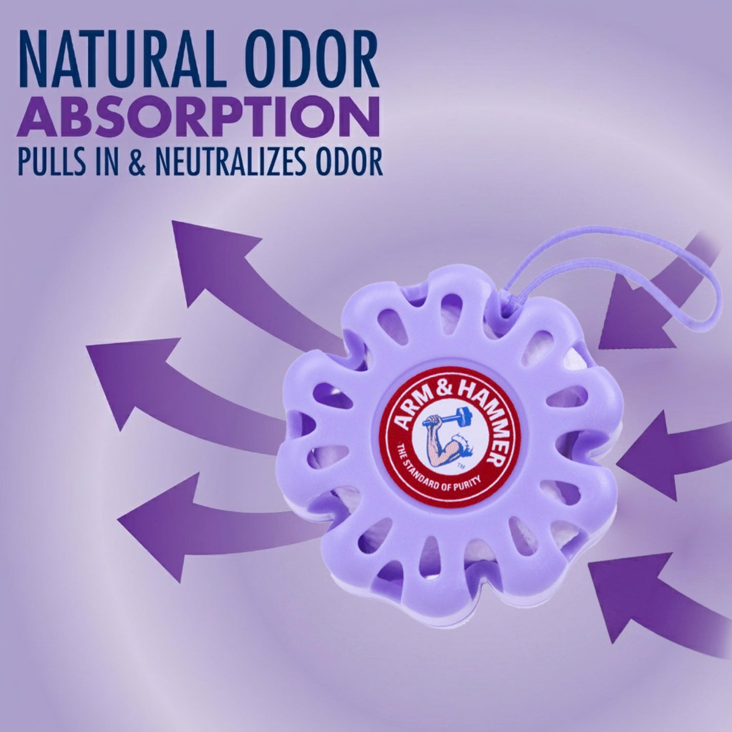 Arm & Hammer OdorBusterz ShapeMATE™, Lavender Flower, 4 Count - Decorative Odor Eliminator for Small Spaces