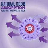 Arm & Hammer OdorBusterz ShapeMATE™, Lavender Flower, 4 Count - Decorative Odor Eliminator for Small Spaces