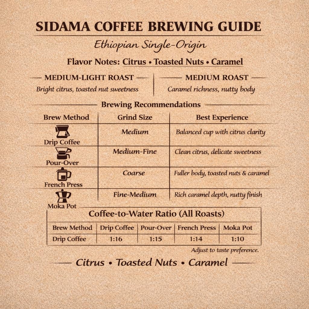 SINA COFFEE Premium 100% Arabica Ethiopian Coffee - Sidama Single Origin Medium Roast Whole Bean Coffee - 12oz Freshly Roasted”