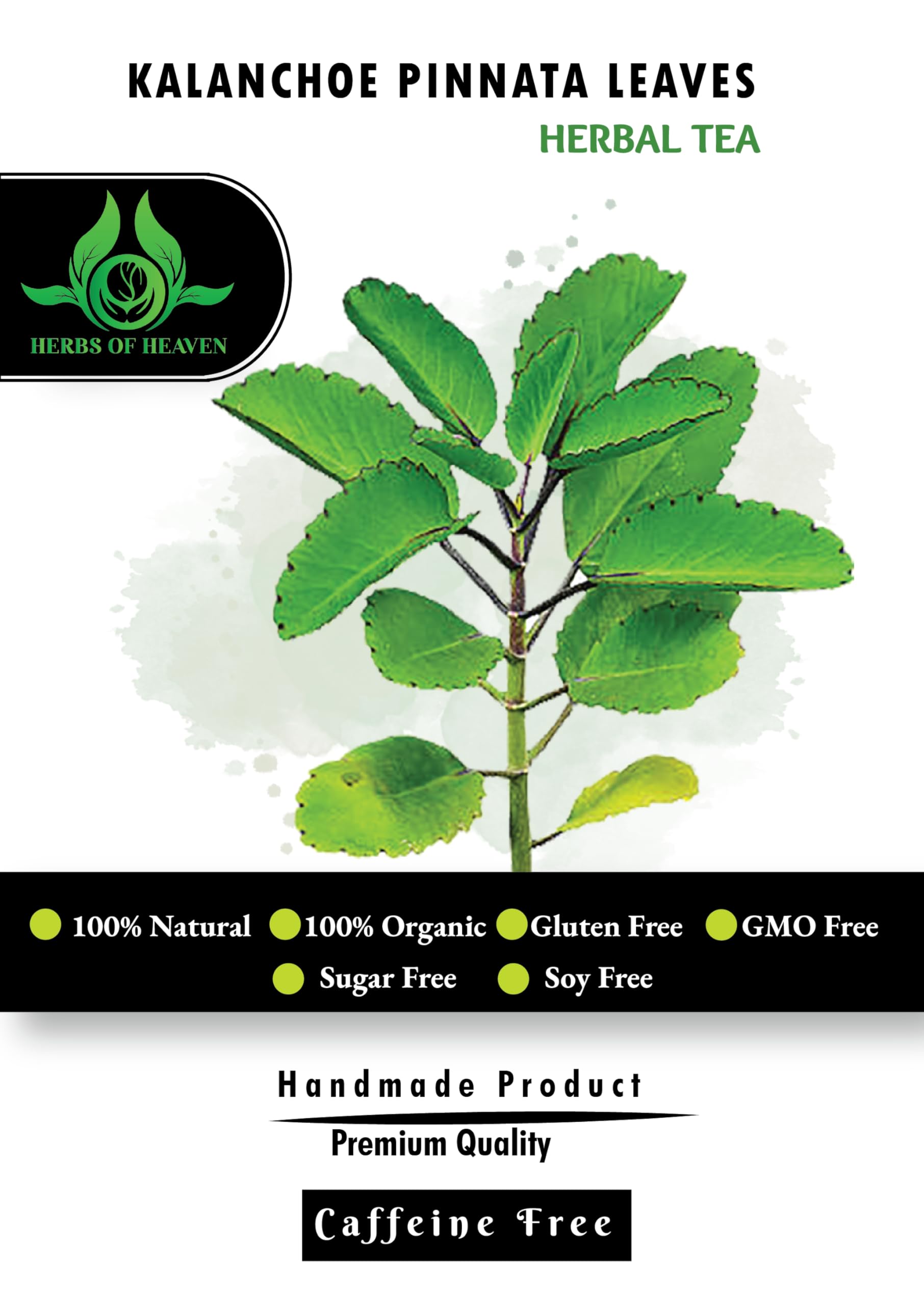 HERBS OF HEAVEN 200 Kalanchoe Pinnata Leaves Leaf Of Lives Miracale Plant Healthy Well Cleaned Dried Leaves Herbal Tea