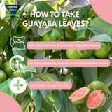 Guayaba (Guava Leaves) Loose Leaf Tea - Dried Guava Leaf Herbal Infusion, Caffeine Free, Sugar Free, 4 oz Resealable Bag