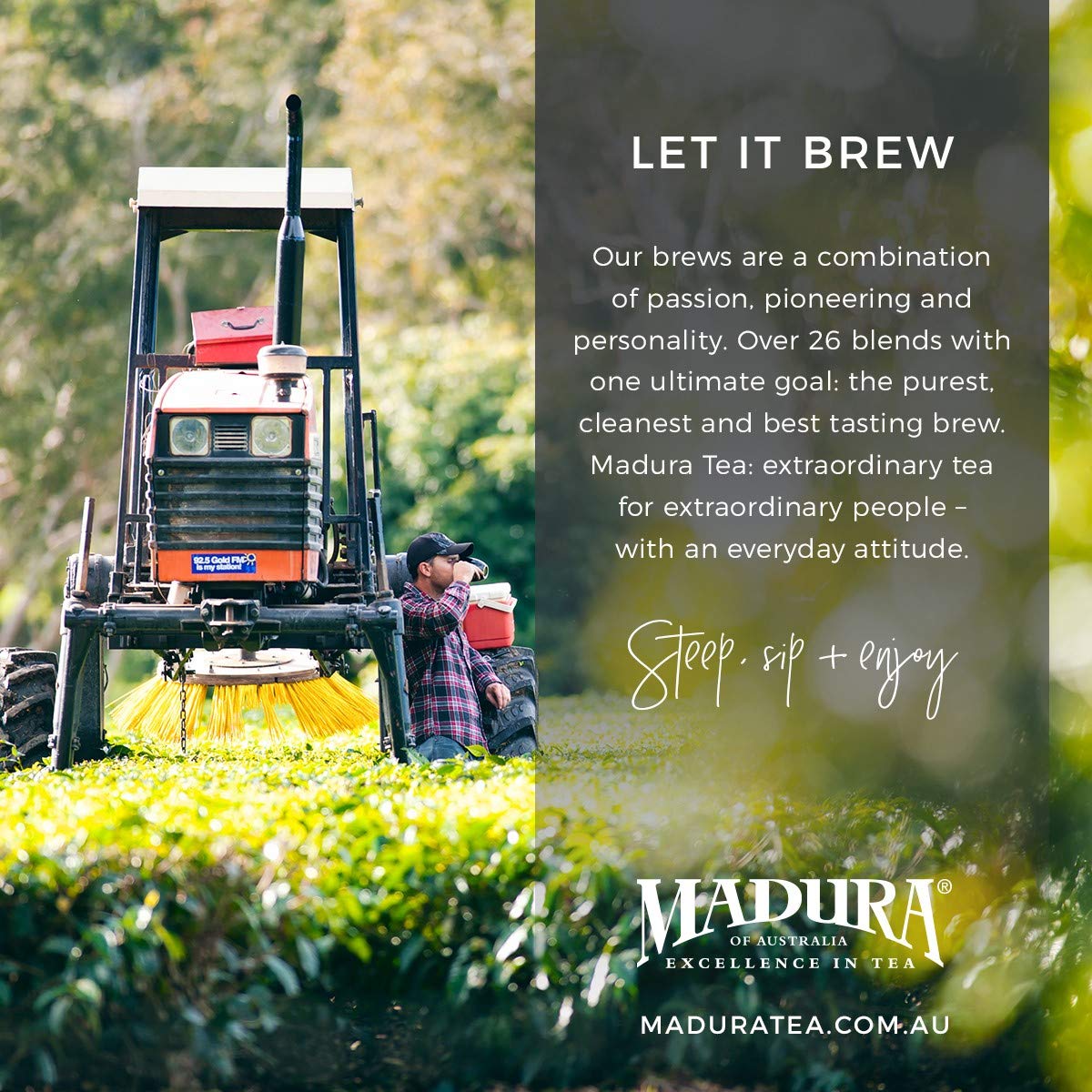 Madura Teas Australia - Premium Blend - 50 Count Black Tea - Teabags