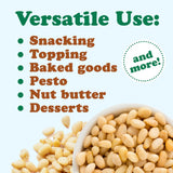 Food to Live Organic Pine Nuts, 18 Pounds - Non-GMO, Whole Raw Pignolias, Unsalted, No Shell, Vegan, Kosher, Bulk Snack. Rich in Vitamin E, Protein