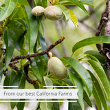 Gourmet Whole Raw Almonds by Its Delish Bulk (2 lbs)