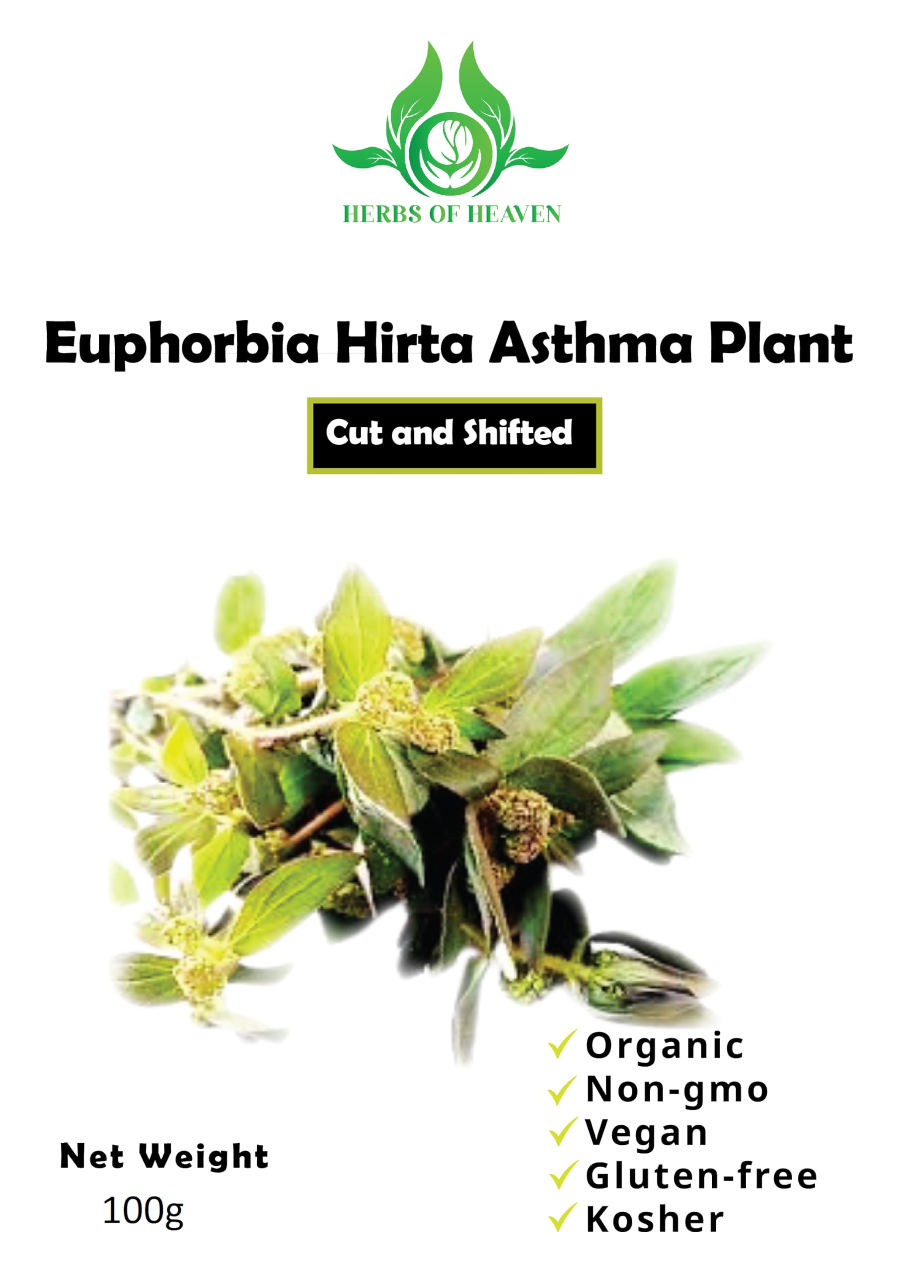 HERBS OF HEAVEN 100g Euphorbia Hirta Asthma Cut & Shifted - 100% Pure Natural Tea - Premium Quality for Brewing Herbal Tea
