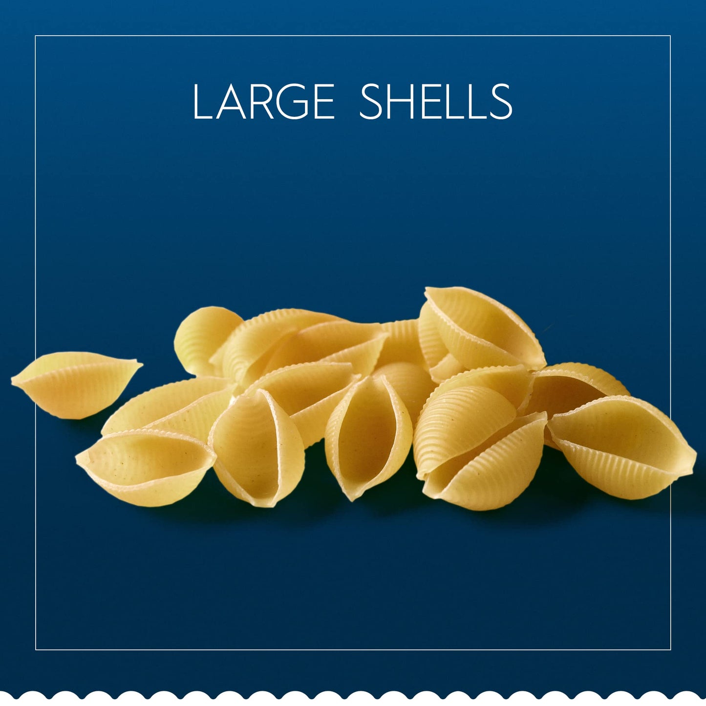 Barilla Large Shells Pasta, 16 oz. Box - Non-GMO, Made with Durum Wheat Semolina - Kosher Certified