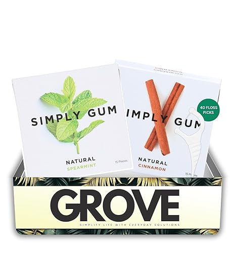 Simply Gum Natural Spearmint + Cinnamon 15 pc each Bundle with Dental Floss Picks Dental 40pc - Natural Gum Chewing & Fresh Breath Essentials - Ideal