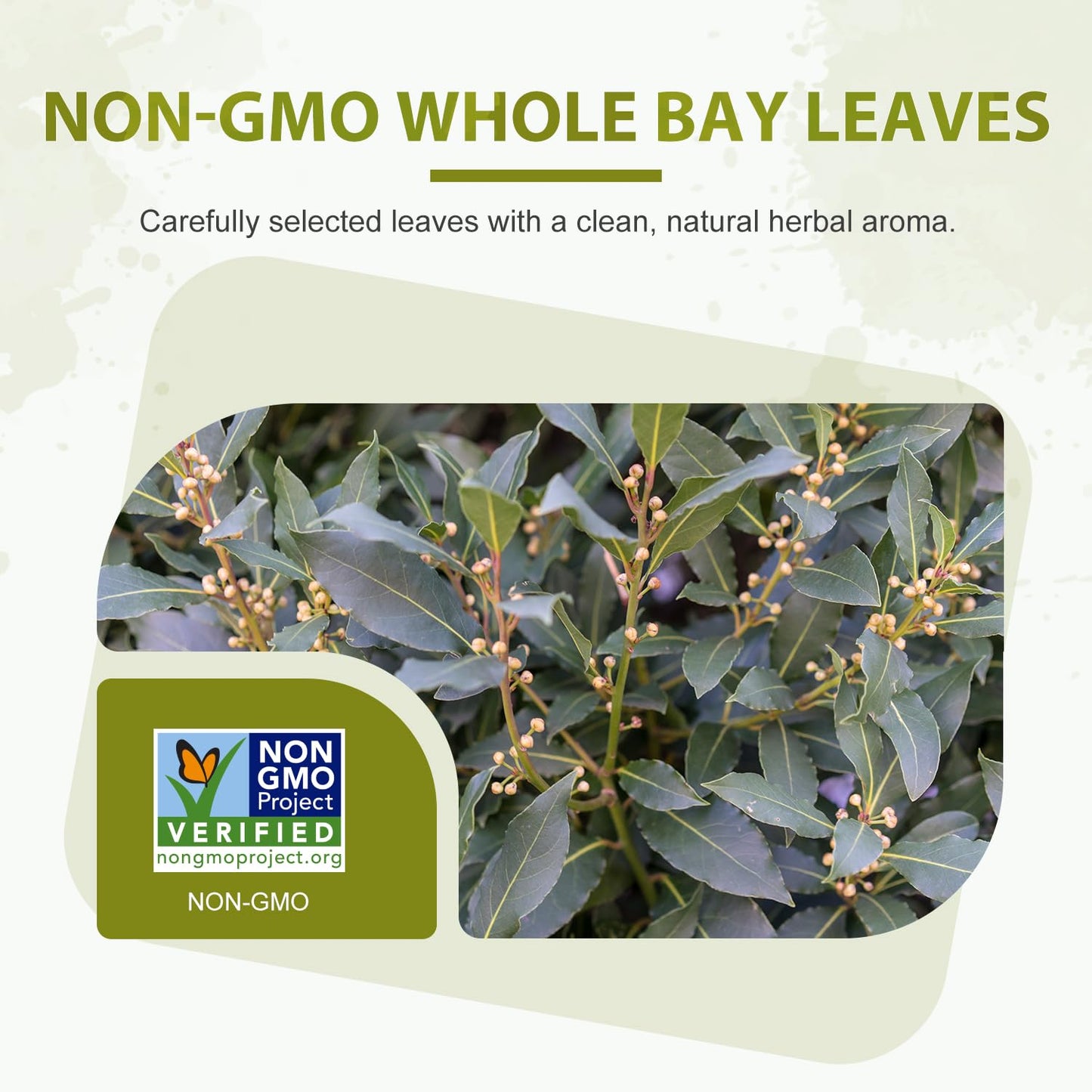 Soeos Bay Leaves, 2oz (57g), Whole Dried Bay Leaf, Non-GMO Verified, Laurel Herbs for Cooking, Soups, Stews, Sauces, Seasoning