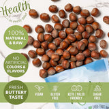 NUTS U.S. - Oregon Hazelnuts In shell | Whole, Raw and Unsalted | No Added Flavor and NON-GMO | Fresh Buttery Taste and Easy to Crack | Natural