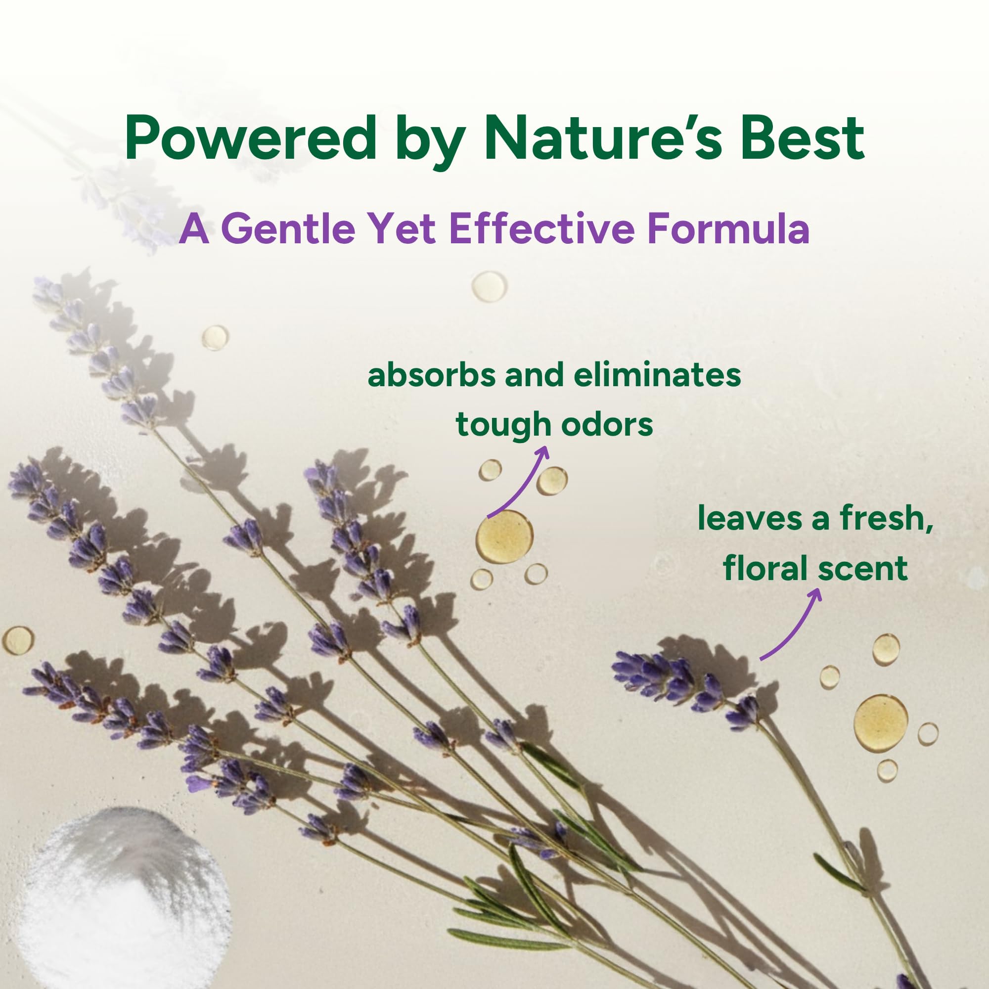 Good Natured Brand | Carpet Deodorizer & Freshener Powder | 60 oz Pet Odor Eliminator for Strong Odor & Pet Urine | Fresh Natural Lavender | Safe
