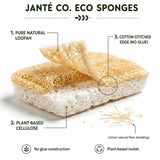 Eco Kitchen Sponges - Plant Based Cellulose & Natural Loofah Scrub Sponge - Biodegradable Dish Sponge - 6 Pack - by Janté Co.