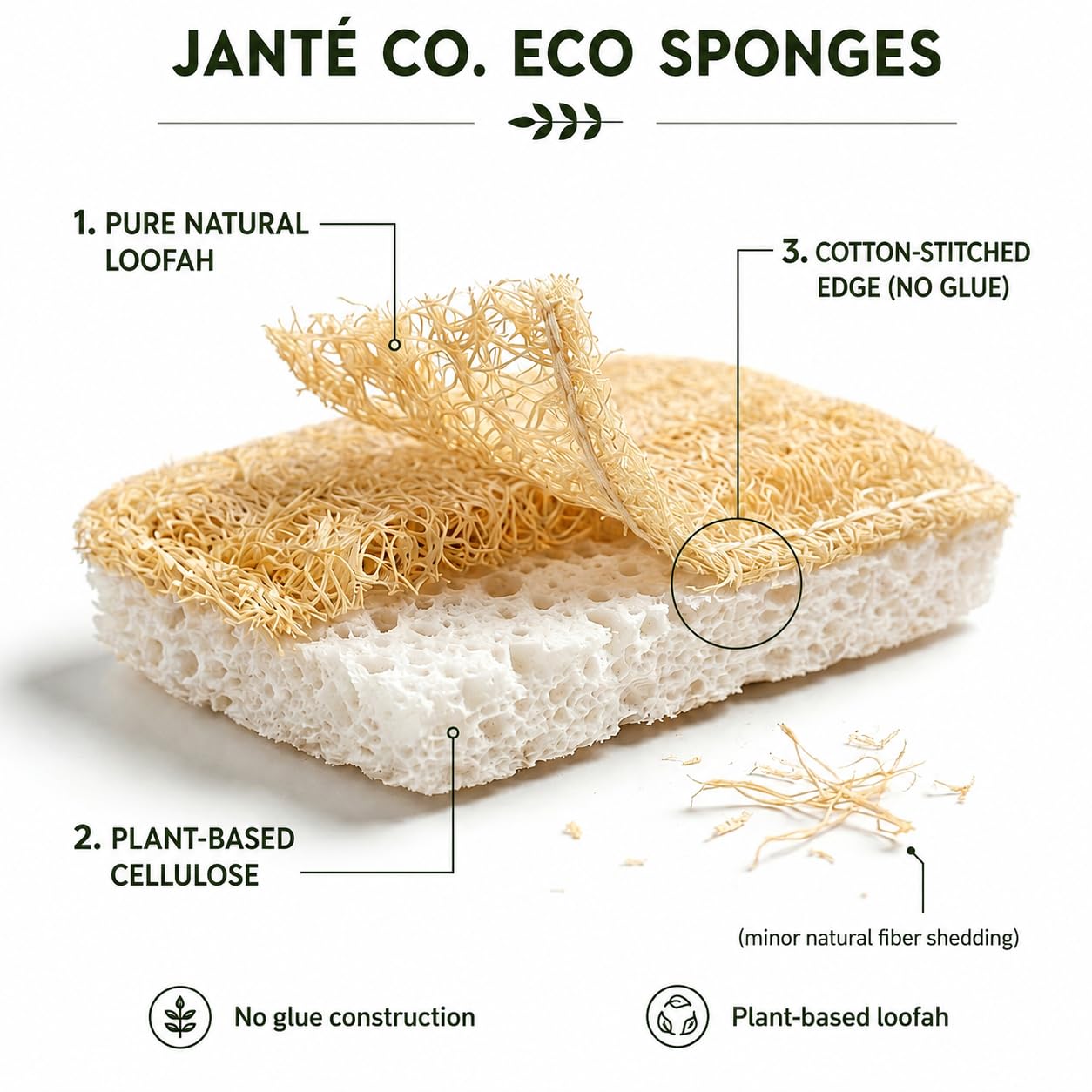 Eco Kitchen Sponges - Plant Based Cellulose & Natural Loofah Scrub Sponge - Biodegradable Dish Sponge - 6 Pack - by Janté Co.